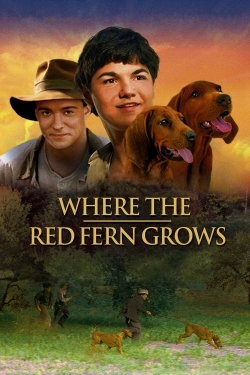 Watch Where the Red Fern Grows movies free