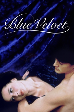 Watch Blue Velvet movies free