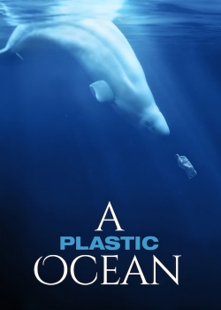 Watch A Plastic Ocean movies free