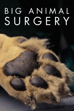 Watch Big Animal Surgery movies free