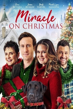 Watch Miracle on Christmas movies free