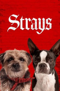 Watch Strays movies free