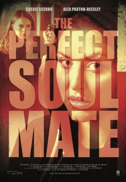 Watch The Perfect Soulmate movies free